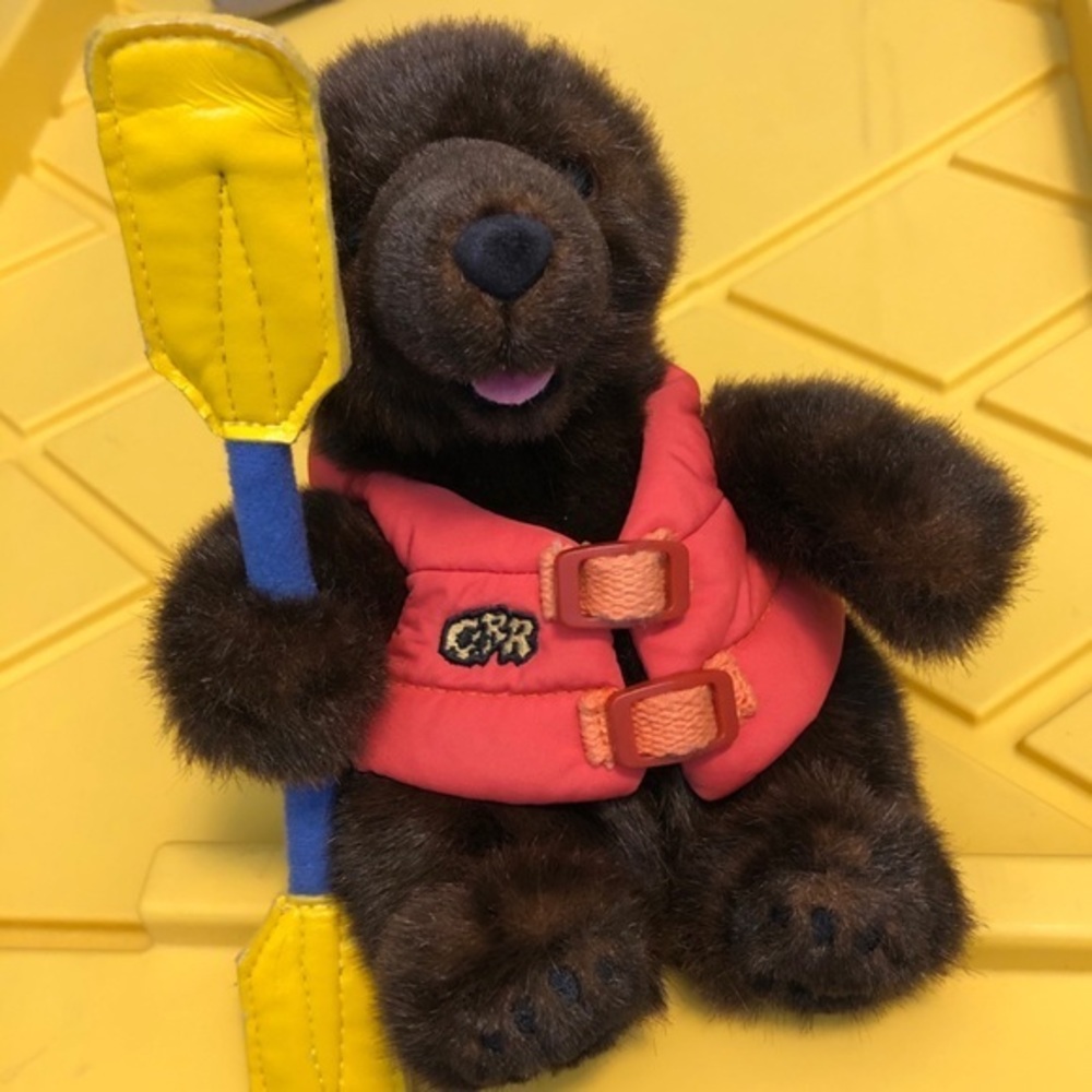 Disney Grizzly River Rapids Bear